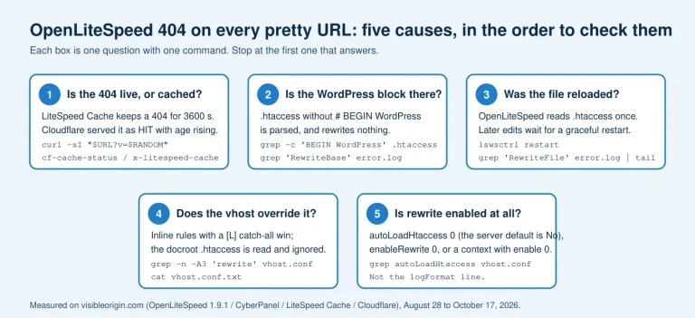 Diagram of the five OpenLiteSpeed 404 causes in the order to check them: a cached 404, a .htaccess without the WordPress block, a file not reloaded, inline virtual host rules, and rewrite disabled, each with one command