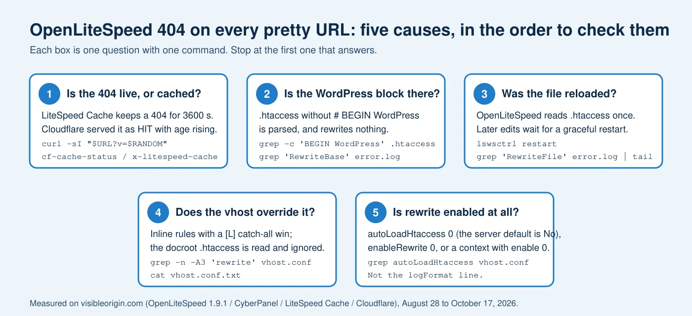Diagram of the five OpenLiteSpeed 404 causes in the order to check them: a cached 404, a .htaccess without the WordPress block, a file not reloaded, inline virtual host rules, and rewrite disabled, each with one command