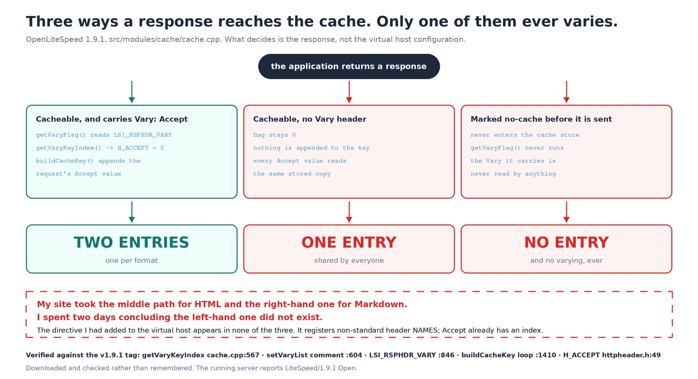 Flow diagram showing that only a cacheable response carrying Vary: Accept causes the request's Accept value to enter the cache key; a response with no Vary produces one shared entry and a no-cache response never enters the cache at all